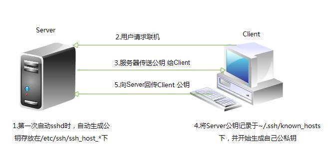 SSH 协议与OpenSSH详解_openssh和ssh的区别-CSDN博客