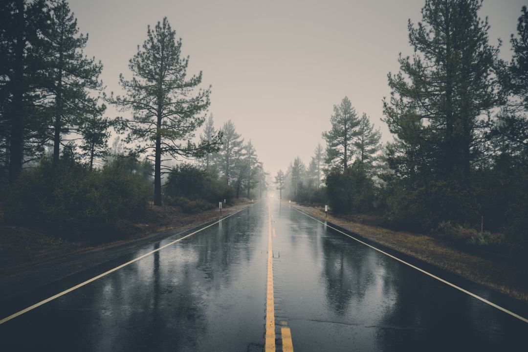 dd12d48c404af320105660ff31bf45d2.jpeg