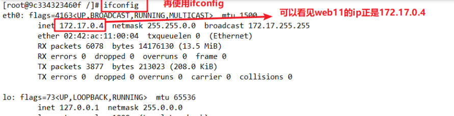 docker的基本管理