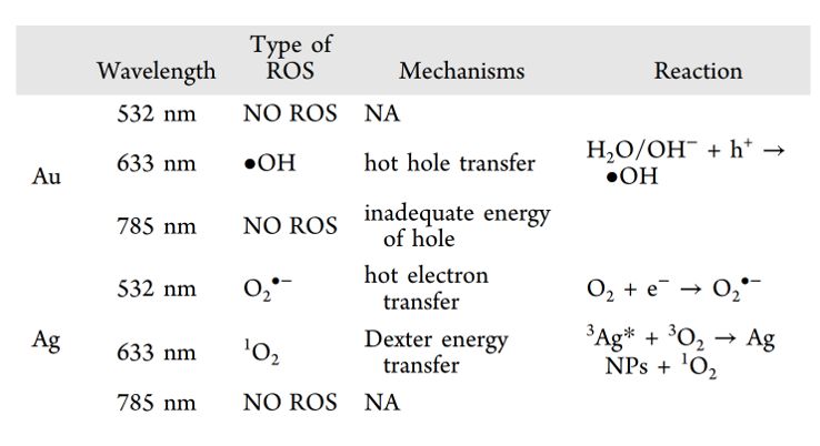 探究等离激元催化中的氧化机制：揭示活性氧物种