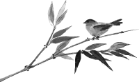 dd32d2b10a9ba3a74720db361d97c73f.png