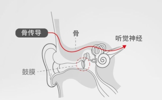 骨传导耳机科普：骨传导耳机的利与弊是哪些？