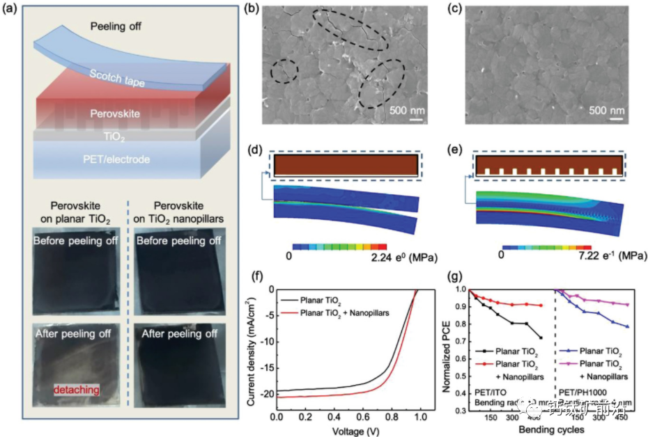 图4:研究钙钛矿薄膜的附着力和装置的柔韧性