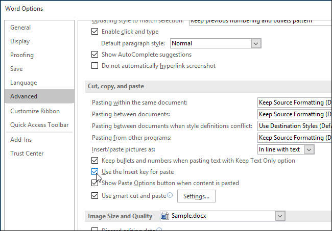 04_selecting_use_the_insert_key_for_paste