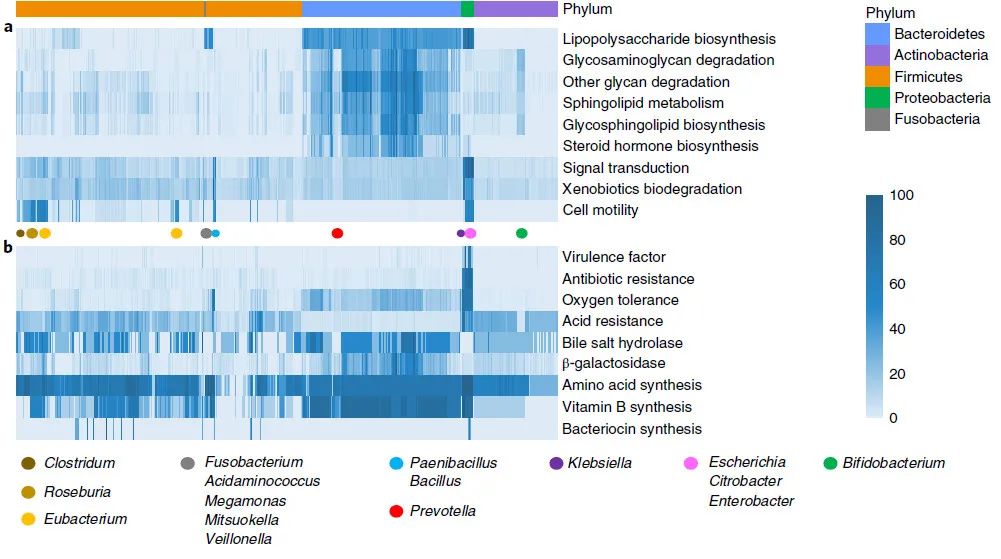 人类肠道培养细菌培养组的参考基因组集