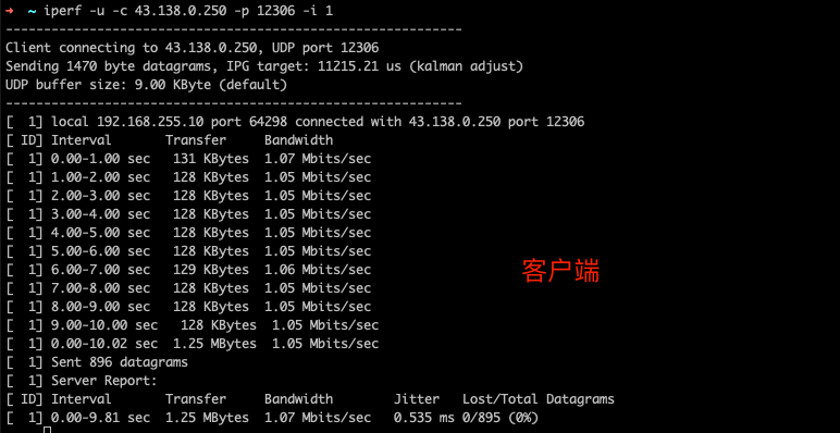 发送tcp/udp请求