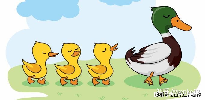 湿度,光照度等环境因素,还有鸭舍的卫生情况,都会影响鸭子的正常生产