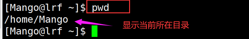 image-20220224204623244