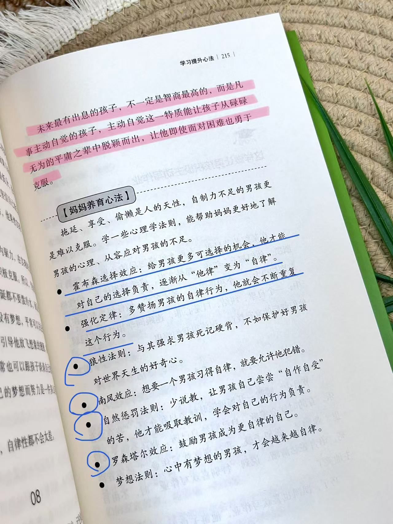 ddd7462eb897e723f7ceb16525a50272.jpeg
