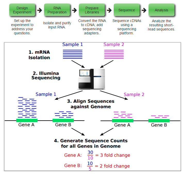 overview-of-rna-seq-technology