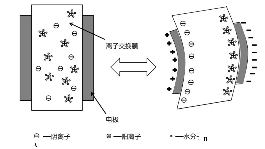 高压放大器在电活性聚合物驱动测试中的应用