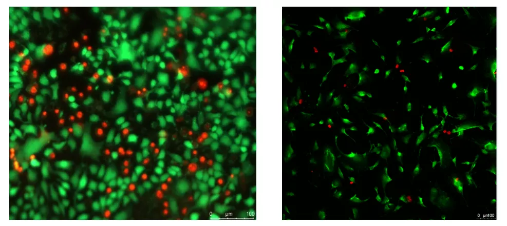 【专业高效可靠,更具性价比】带你走进科学指南针郑州生物实验室