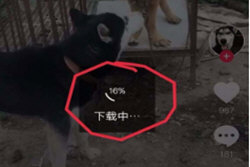 de39c5f01e0f690d6e2ebf67a15e0c0f.png