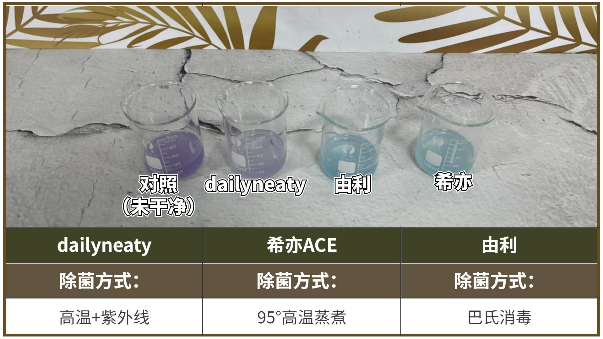 三款内衣洗衣机对比测评希亦dailyneaty由利内衣洗衣机实测