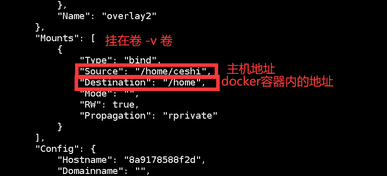 image-20201023175350975