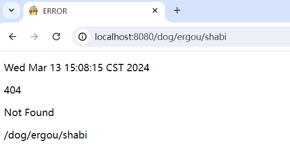 image-20240313150831498