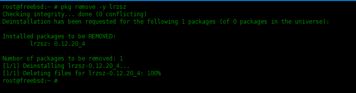 Examples of using the pkg package manager in FreeBSD Examples of using the pkg package manager in FreeBSD