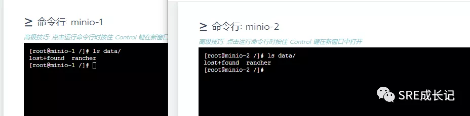 两种MinIO分布式集群部署方式