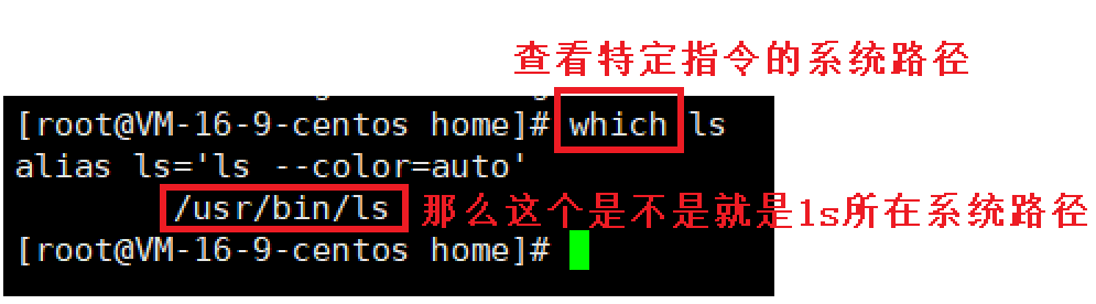 image-20220123202649402