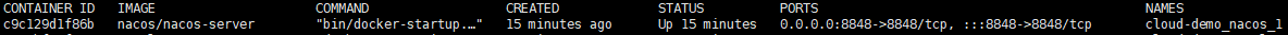 defd87086813c69a906da45c622dd2da - Dokcer运行Nacos容器自动退出问题