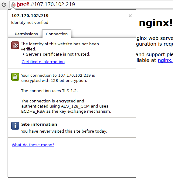 Nginx SSL信息