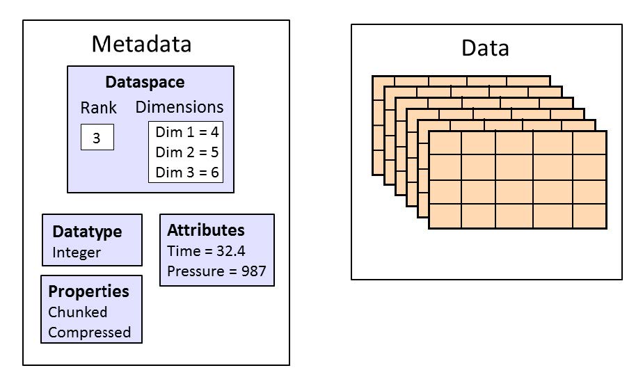 dataset