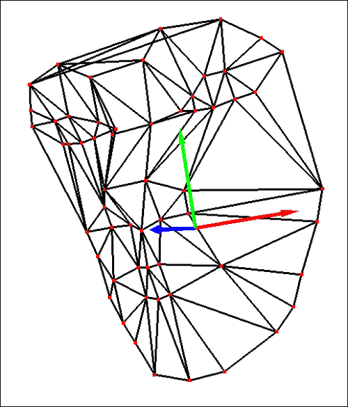 POSIT and head model