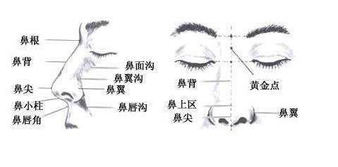 零基础小白如何自学画画