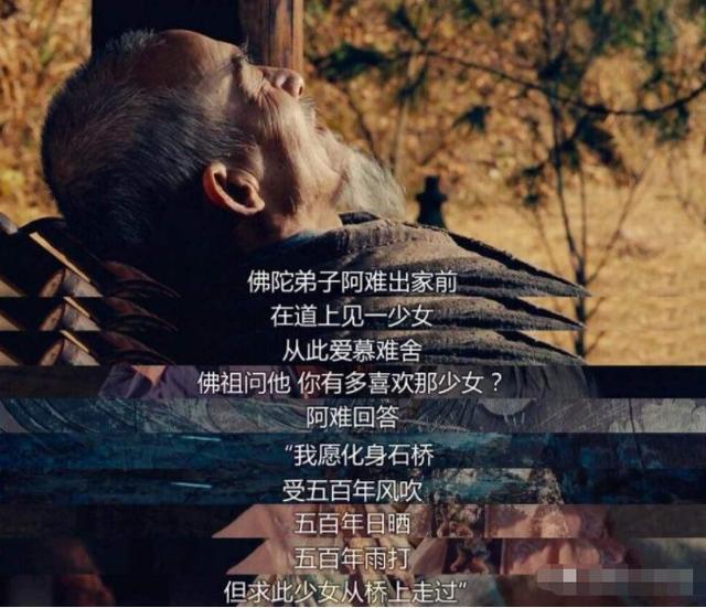 《剑雨》我听别人说这世界上有一种鸟是没有脚的,它只能一直飞呀