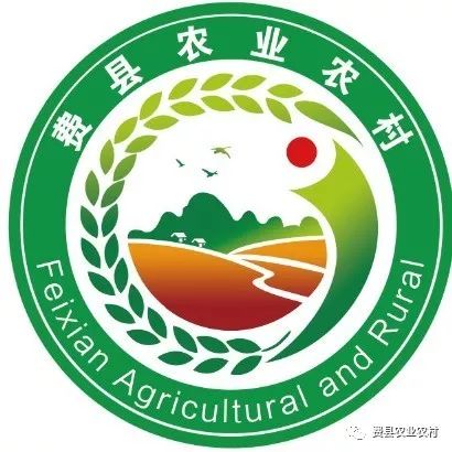 文字:产业化科近年来,费县农业农村局立足全县农业产业化发展实际和