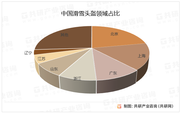 中国滑雪头盔领域占比