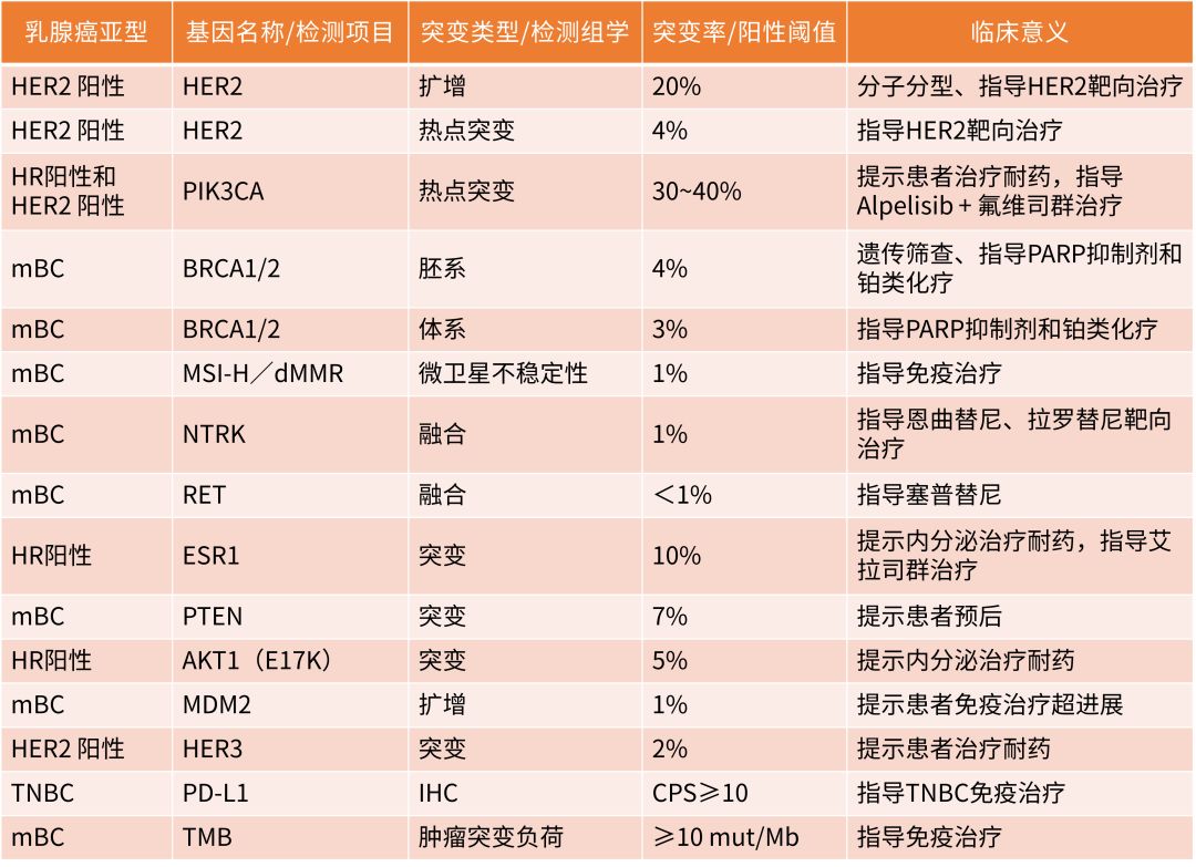 求臻医学：乳腺癌治疗与基因检测 探索个性化医疗的未来