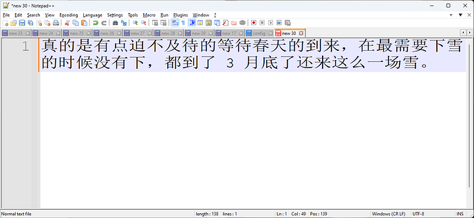 Notepad++ 如何调整显示字面大小