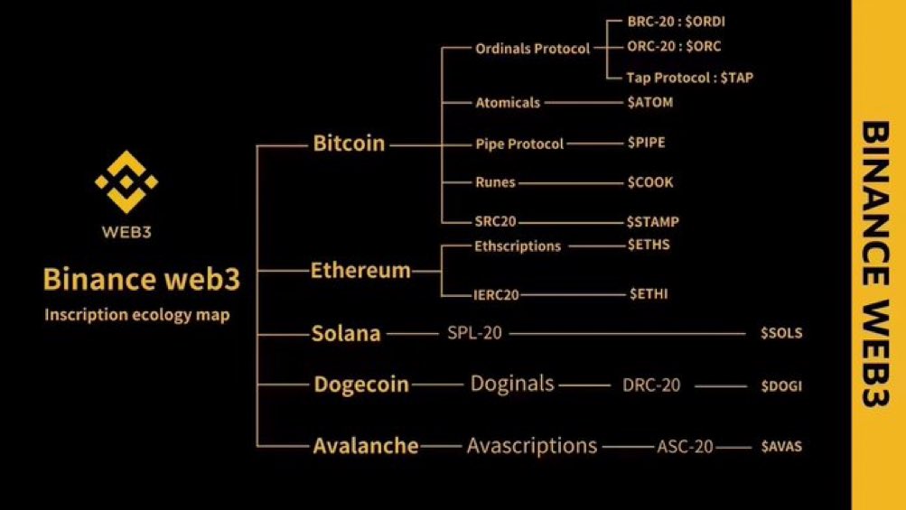 BTC系列-系统学习铭文(一)-比特币上的NFT