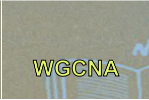 e14de3604df486383ffd833d8154fed2.png