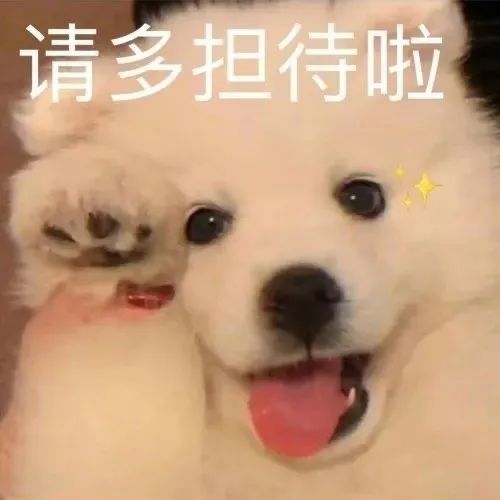 e151e25aa81f27a9716b2d056ab95684.jpeg