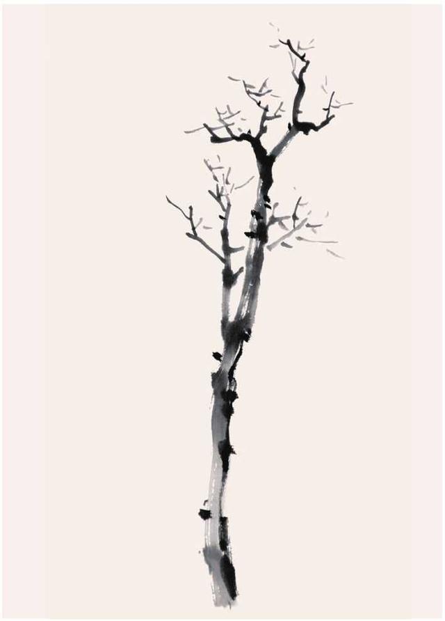 visio多树枝直角加箭头_零基础国画教程:树枝基本画法详解,简单易学,小白也能学会!...-CSDN博客