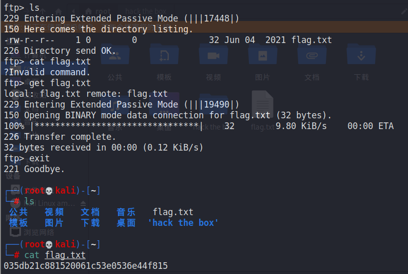 Hack The Box TIER 0 Meow Fawn Dancing what Is The flag Or switch We Can Use With The 