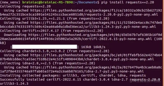 Python 使用 pip 安装第三方库
