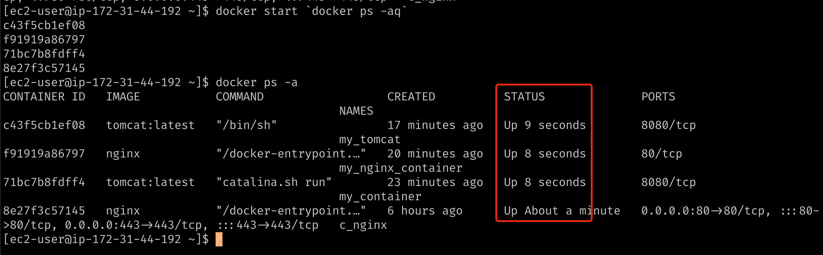 docker-start-aq