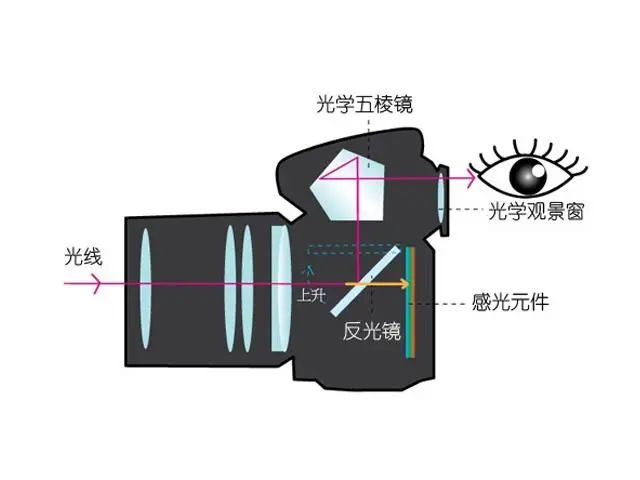 e21845ca2e5ae10f9e8c37b7a6697a87.png