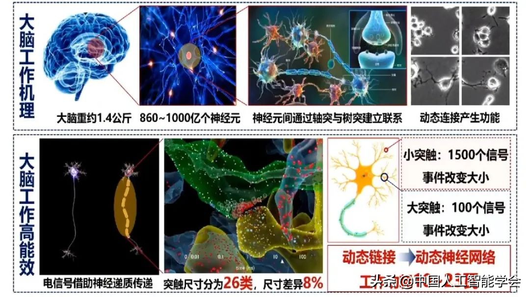 实录丨戴琼海：深度学习遭遇瓶颈，全脑观测启发下一代AI算法