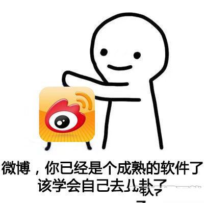 python你已经是个成熟的软件了_你们已经是成熟的软件了表情包下载