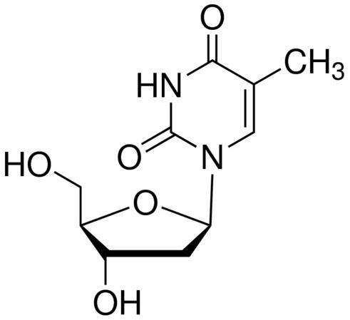 艾美捷D3204 2‘-脱氧胸苷（胸苷）中文说明书