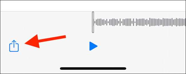 Tap on Share button to share the downloaded file with any app