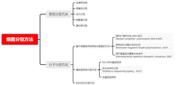 什么叫内分型和外分型 e27e4b937416e130025ed5b1f202dbd6.png