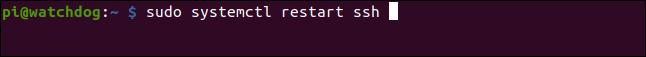 sudo systemctl restart ssh in a terminal window.