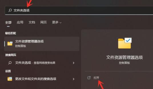 Win11怎么显示隐藏文件