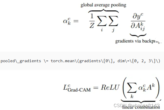 Grad-CAM~2-Pytorch实现_ide_03