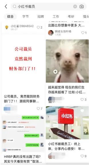 小红书大规模裁员:互联网寒冬还是业务调整?